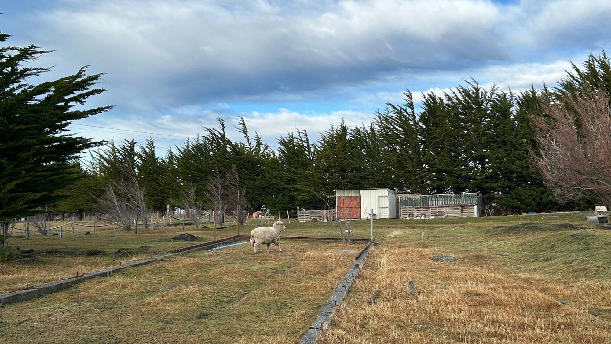 Hospedaje Isla Magdalena Punta Arenas Exterior photo